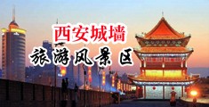 美女被操阴茎插入骚逼中国陕西-西安城墙旅游风景区