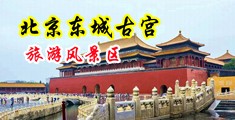 污淫色中国北京-东城古宫旅游风景区